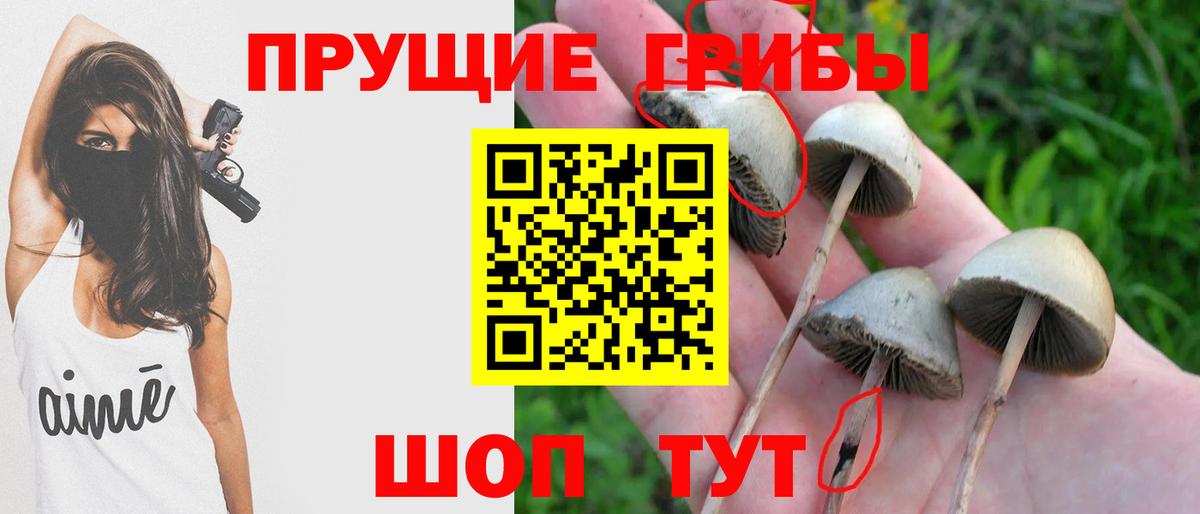 Галлюциногенные грибы прущие грибы  наркошоп  Тулун  Галлюциногенные грибы прущие грибы 